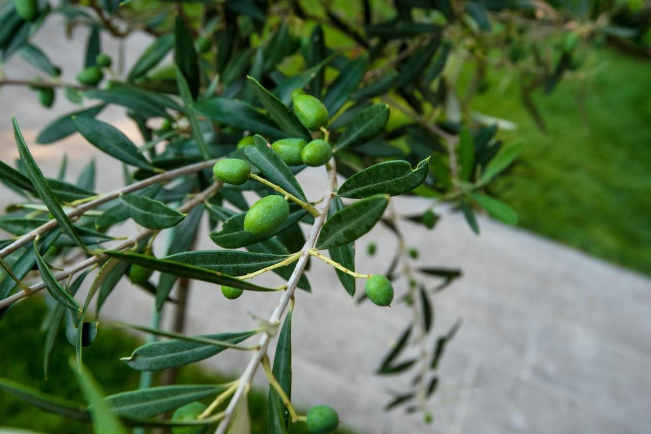 דירות Peraía Olive 302 מראה חיצוני תמונה